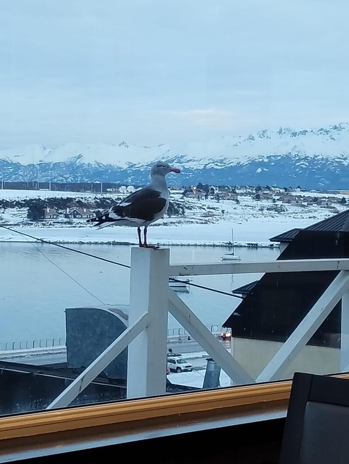 Makush Apartment Ushuaia